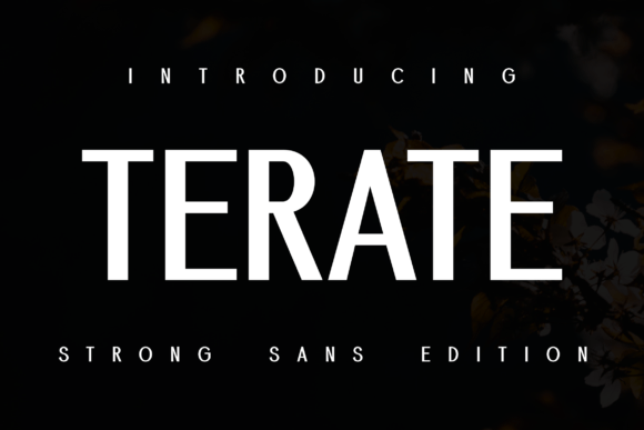 Demore Terate: A Sturdy Sans Serif Typeface